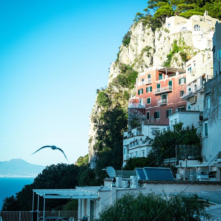 Family terraces and cafés for calm evenings in Zurich